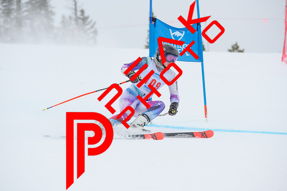 WP_5933