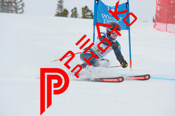 WP_6101