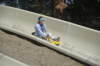 Slow Lane_11:36:18_08.31.25__D604672