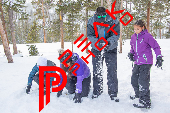 1.24.21-2986