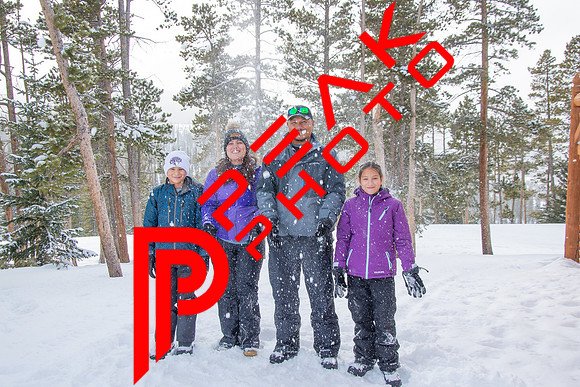 1.24.21-2990