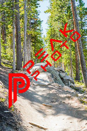 Trestle Downhill 9.5.20-11;35