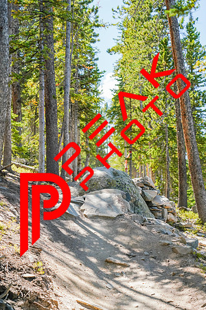 Trestle Downhill 9.5.20-12;29-2