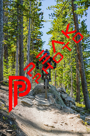 Trestle Downhill 9.5.20-10;58