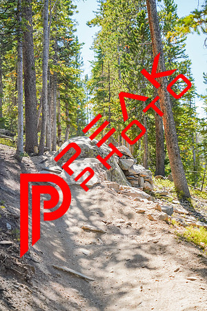 Trestle Downhill 9.5.20-13;15