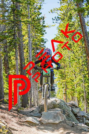 Trestle Downhill 9.5.20-11;07
