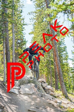 Trestle Downhill 9.5.20-12;46