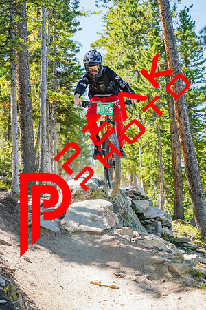 Trestle Downhill 9.5.20-11;23-2