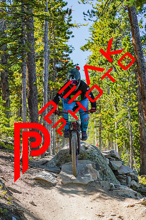 Trestle Downhill 9.5.20-11;02