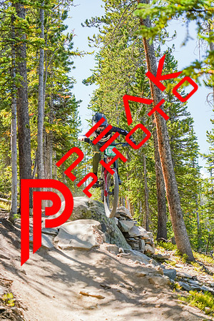 Trestle Downhill 9.5.20-12;10