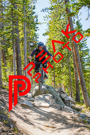 Trestle Downhill 9.5.20-12;01-2