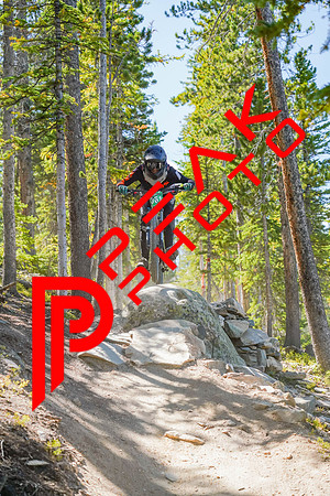 Trestle Downhill 9.5.20-11;50