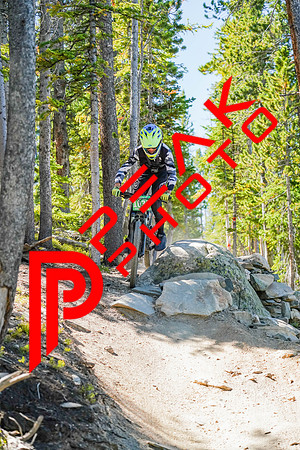 Trestle Downhill 9.5.20-11;11-2