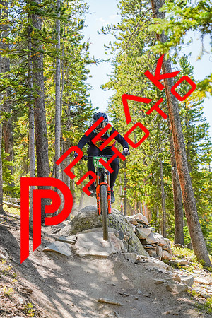 Trestle Downhill 9.5.20-12;41
