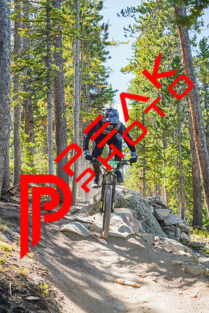 Trestle Downhill 9.5.20-11;49