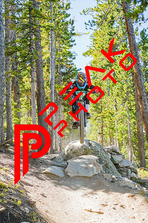 Trestle Downhill 9.5.20-11;12