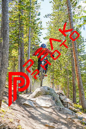 Trestle Downhill 9.5.20-12;21