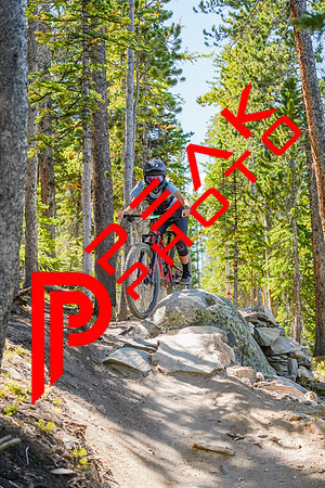 Trestle Downhill 9.5.20-11;38