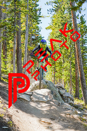 Trestle Downhill 9.5.20-11;30