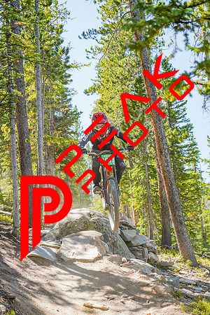 Trestle Downhill 9.5.20-11;56