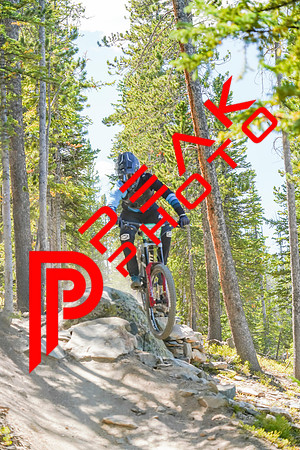 Trestle Downhill 9.5.20-12;25