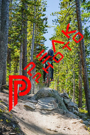 Trestle Downhill 9.5.20-10;57
