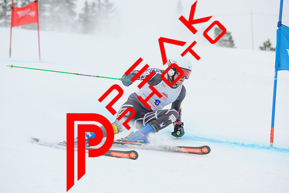 WP_6260