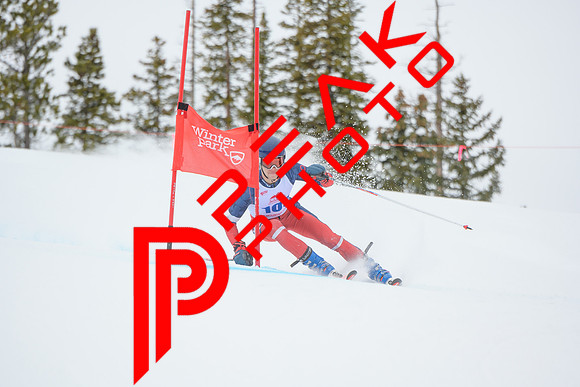 WP_6275