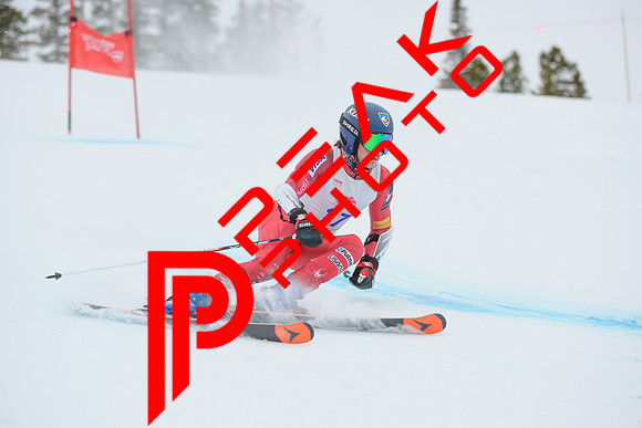 WP_6318