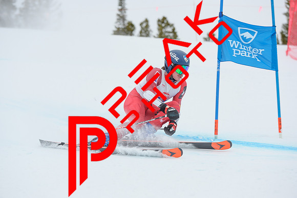 WP_6319