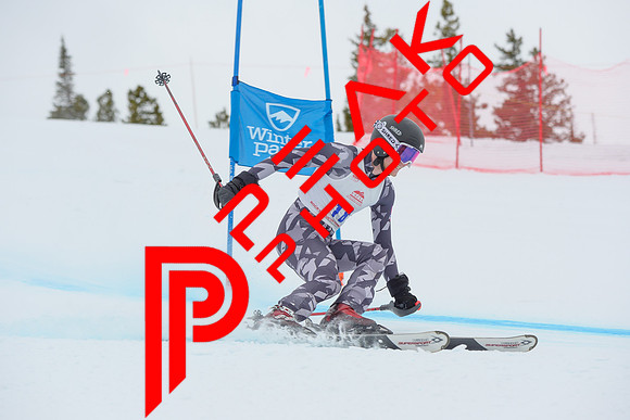 WP_6334