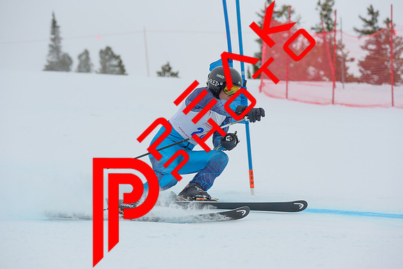 WP_6371