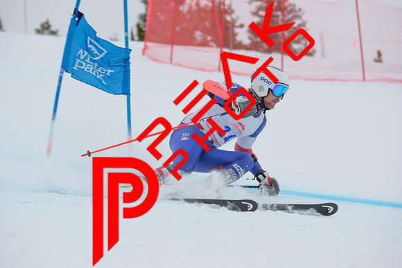 WP_6394