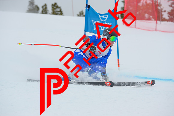WP_6417