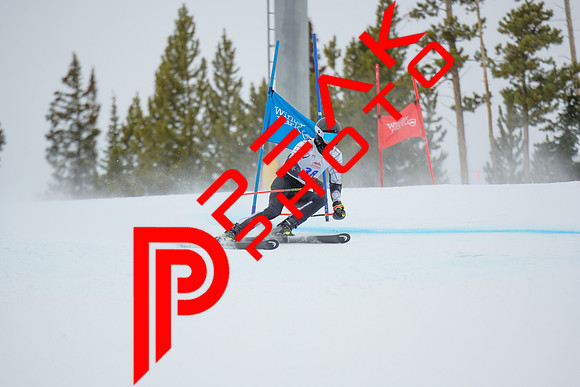 WP_6439