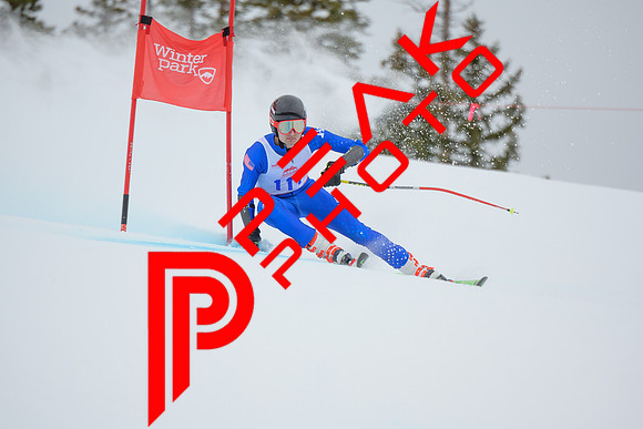 WP_6446