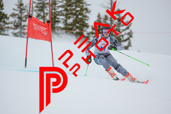 WP_6498