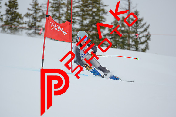 WP_6503