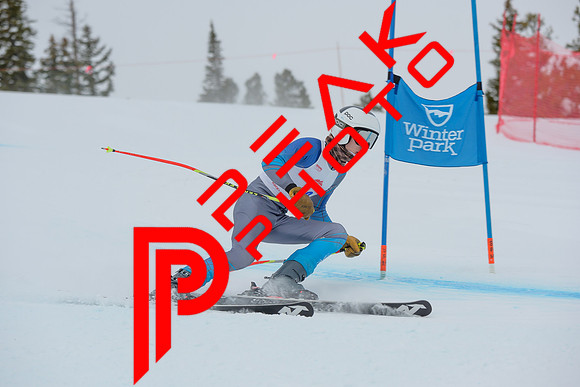 WP_6513