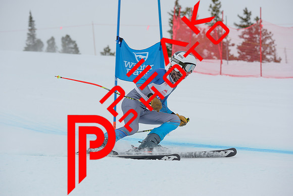 WP_6514