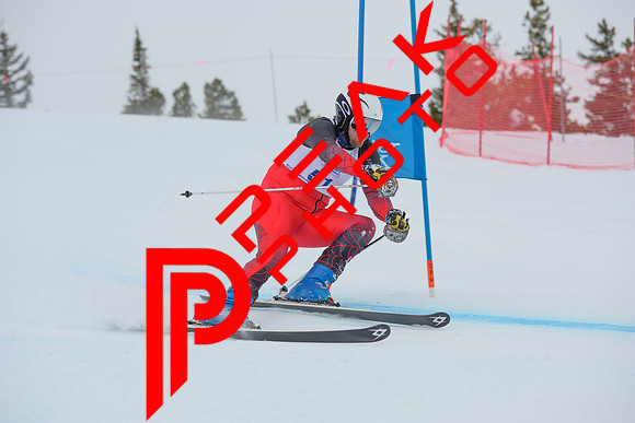 WP_6519