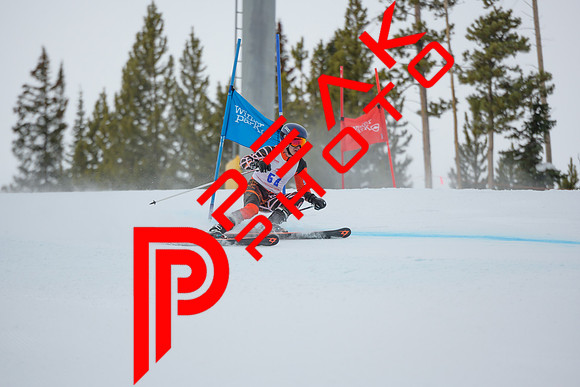 WP_6531