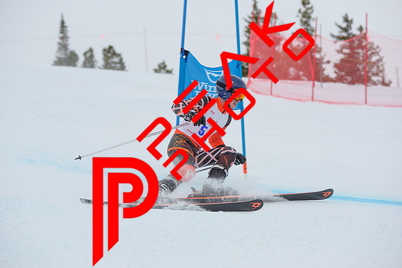 WP_6536