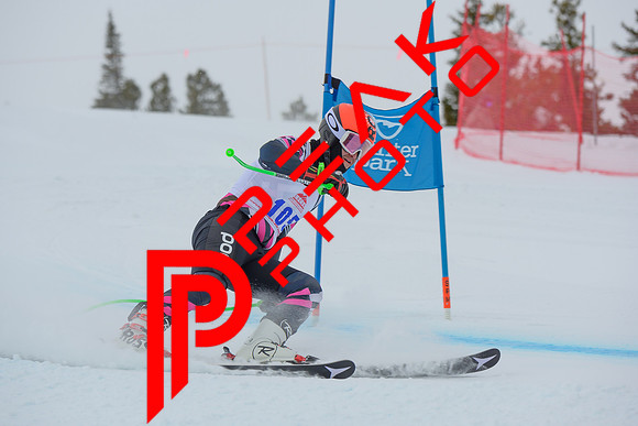 WP_6541
