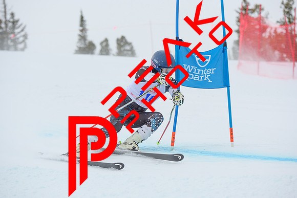 WP_6548