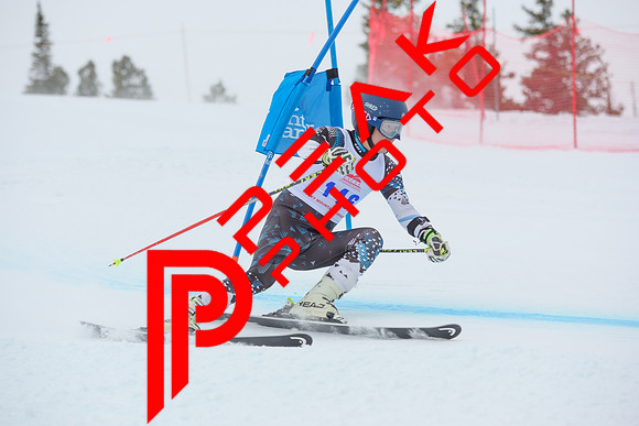 WP_6549