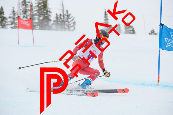 WP_6553