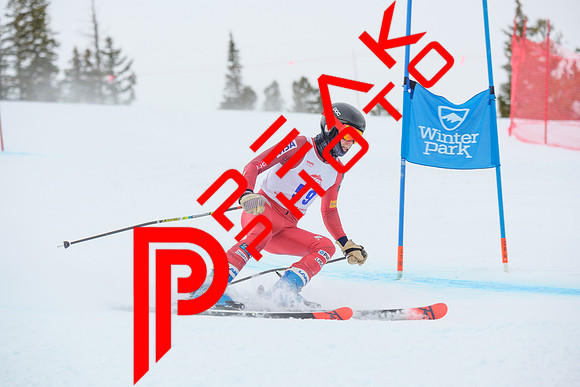 WP_6554