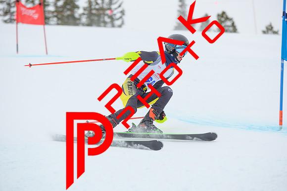 WP_6559