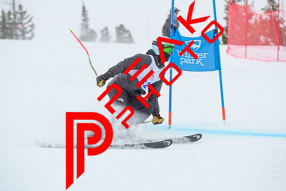 WP_6569